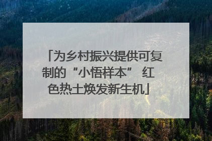 为乡村振兴提供可复制的“小悟样本” 红色热土焕发新生机