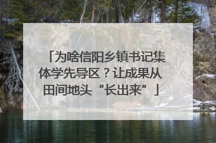 为啥信阳乡镇书记集体学先导区？让成果从田间地头“长出来”