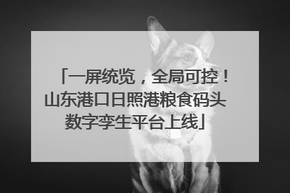 一屏统览，全局可控！山东港口日照港粮食码头数字孪生平台上线