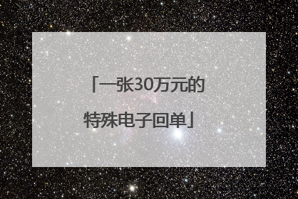 一张30万元的特殊电子回单