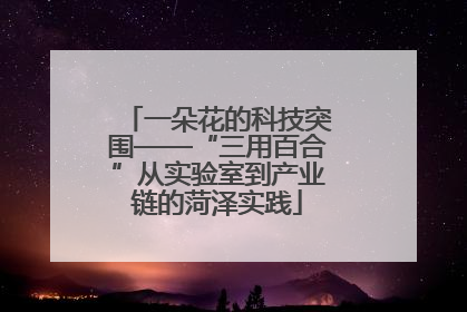一朵花的科技突围——“三用百合”从实验室到产业链的菏泽实践
