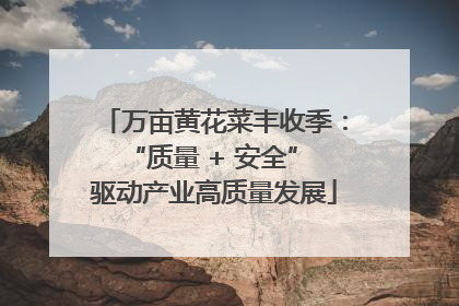 万亩黄花菜丰收季：“质量 + 安全” 驱动产业高质量发展