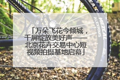 万朵飞花今倾城，千屏绽放美好声——北京花卉交易中心短视频拍摄基地启幕