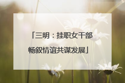三明：挂职女干部畅叙情谊共谋发展