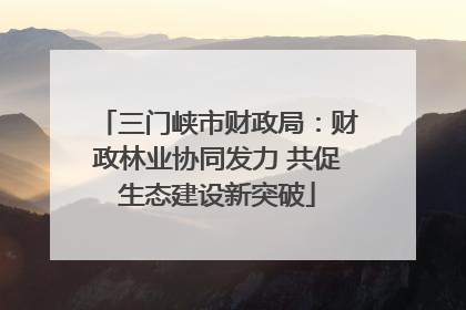 三门峡市财政局：财政林业协同发力 共促生态建设新突破