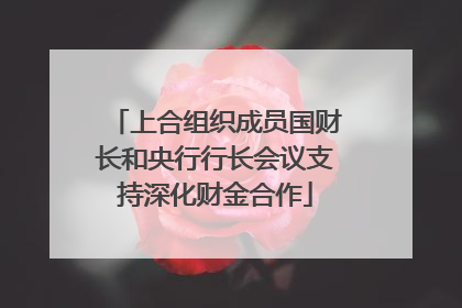 上合组织成员国财长和央行行长会议支持深化财金合作
