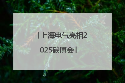 上海电气亮相2025碳博会