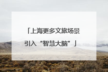 上海更多文旅场景引入“智慧大脑”