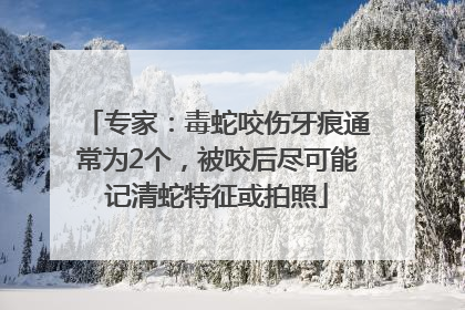 专家：毒蛇咬伤牙痕通常为2个，被咬后尽可能记清蛇特征或拍照