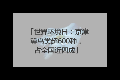 世界环境日：京津冀鸟类超600种，占全国近四成