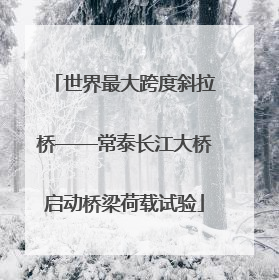 世界最大跨度斜拉桥——常泰长江大桥启动桥梁荷载试验