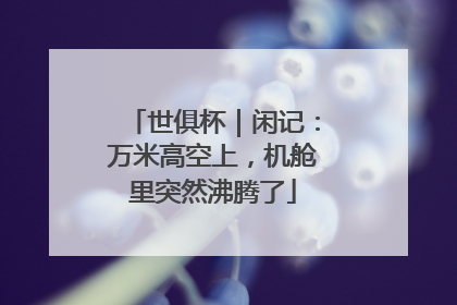 世俱杯｜闲记：万米高空上，机舱里突然沸腾了