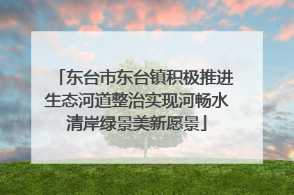 东台市东台镇积极推进生态河道整治实现河畅水清岸绿景美新愿景