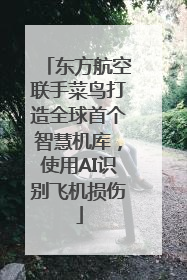 东方航空联手菜鸟打造全球首个智慧机库，使用AI识别飞机损伤