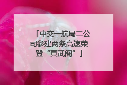 中交一航局二公司参建两条高速荣登“真武阁”