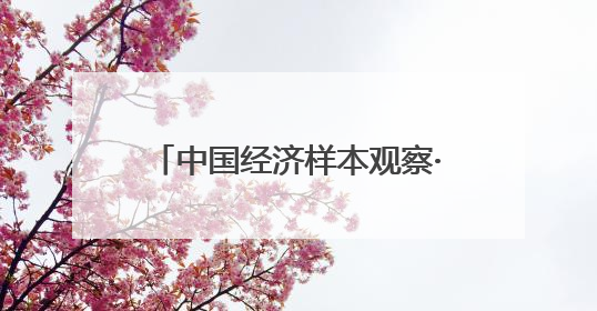 中国经济样本观察·“镇”了不起｜“内衣小镇”织出500亿元“里子产业”