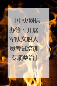 中央网信办等：开展军队文职人员考试培训专项整治