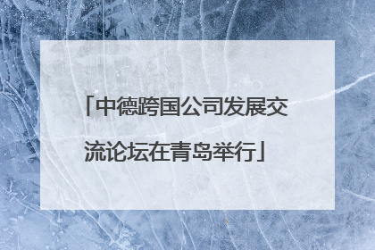 中德跨国公司发展交流论坛在青岛举行