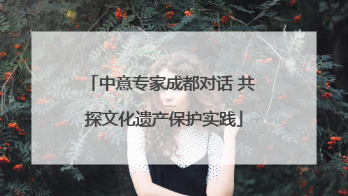 中意专家成都对话 共探文化遗产保护实践