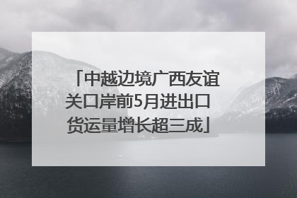 中越边境广西友谊关口岸前5月进出口货运量增长超三成