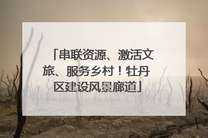 串联资源、激活文旅、服务乡村！牡丹区建设风景廊道