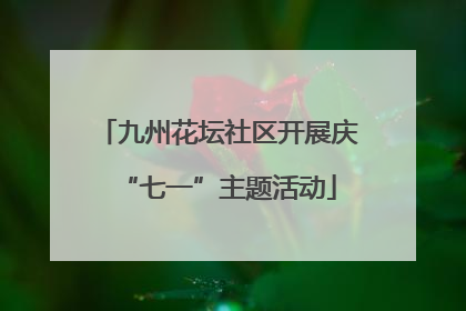九州花坛社区开展庆“七一”主题活动