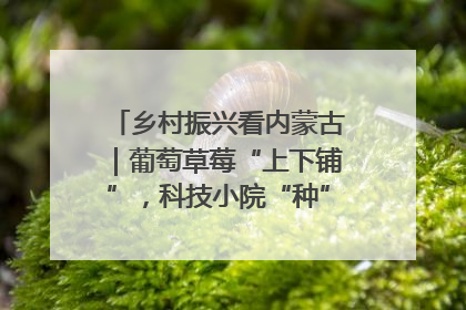 乡村振兴看内蒙古｜葡萄草莓“上下铺”，科技小院“种”出三倍效益