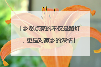 乡贤点亮的不仅是路灯，更是对家乡的深情