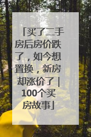 买了二手房后房价跌了，如今想置换，新房却涨价了｜100个买房故事