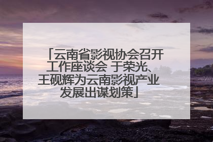 云南省影视协会召开工作座谈会 于荣光、王砚辉为云南影视产业发展出谋划策
