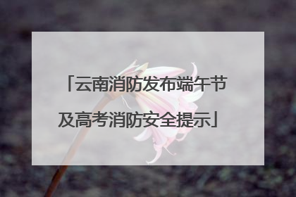 云南消防发布端午节及高考消防安全提示