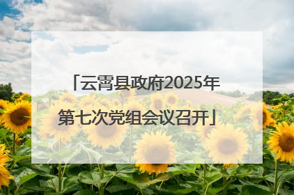 云霄县政府2025年第七次党组会议召开