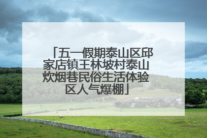 五一假期泰山区邱家店镇王林坡村泰山炊烟巷民俗生活体验区人气爆棚