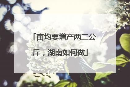 亩均要增产两三公斤，湖南如何做