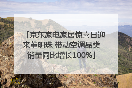 京东家电家居惊喜日迎来董明珠 带动空调品类销量同比增长100%