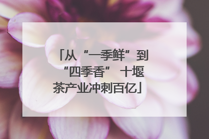 从“一季鲜”到“四季香” 十堰茶产业冲刺百亿