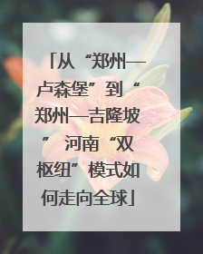 从“郑州—卢森堡”到“郑州—吉隆坡” 河南“双枢纽”模式如何走向全球