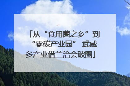 从“食用菌之乡”到“零碳产业园” 武威多产业借兰洽会破圈