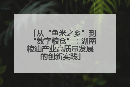 从“鱼米之乡”到“数字粮仓”：湖南粮油产业高质量发展的创新实践