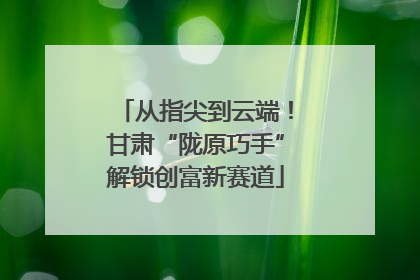 从指尖到云端！甘肃“陇原巧手”解锁创富新赛道