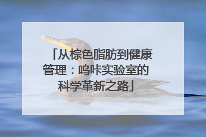 从棕色脂肪到健康管理：呜咔实验室的科学革新之路