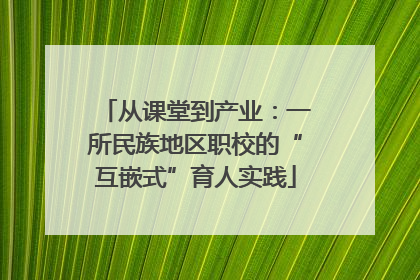 从课堂到产业：一所民族地区职校的“互嵌式”育人实践