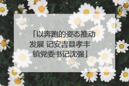 以奔跑的姿态推动发展 记安吉县孝丰镇党委书记沈强