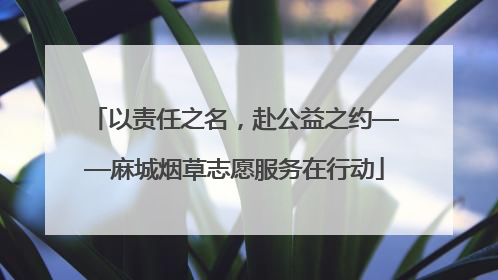 以责任之名，赴公益之约——麻城烟草志愿服务在行动
