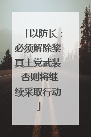 以防长：必须解除黎真主党武装 否则将继续采取行动