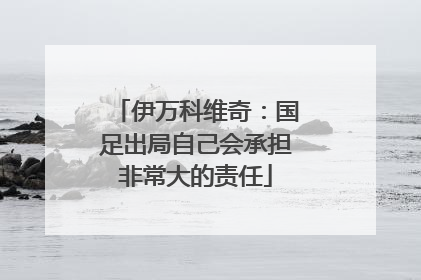 伊万科维奇：国足出局自己会承担非常大的责任