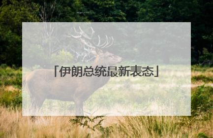 伊朗总统最新表态