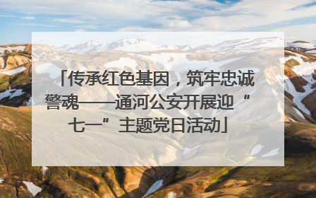 传承红色基因，筑牢忠诚警魂——通河公安开展迎“七一”主题党日活动