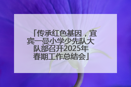 传承红色基因，宜宾一曼小学少先队大队部召开2025年春期工作总结会