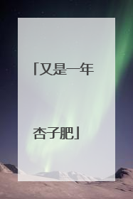 又是一年杏子肥